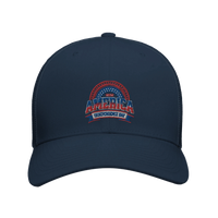 navy  navy